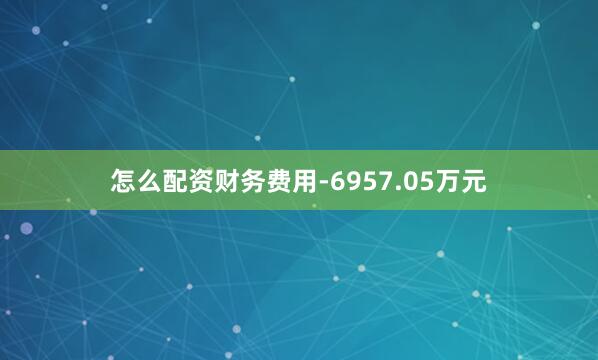 怎么配资财务费用-6957.05万元