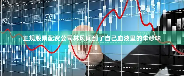 正规股票配资公司林风闻到了自己血液里的朱砂味