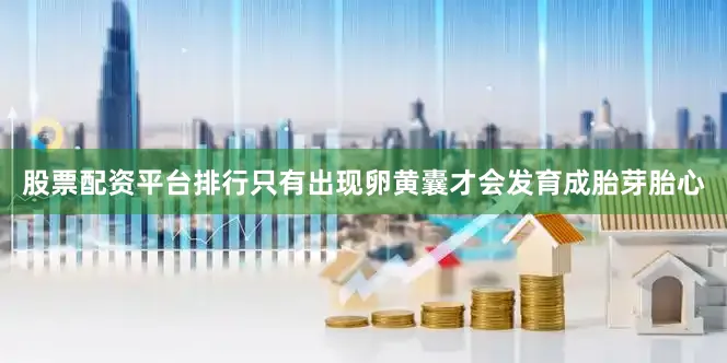 股票配资平台排行只有出现卵黄囊才会发育成胎芽胎心
