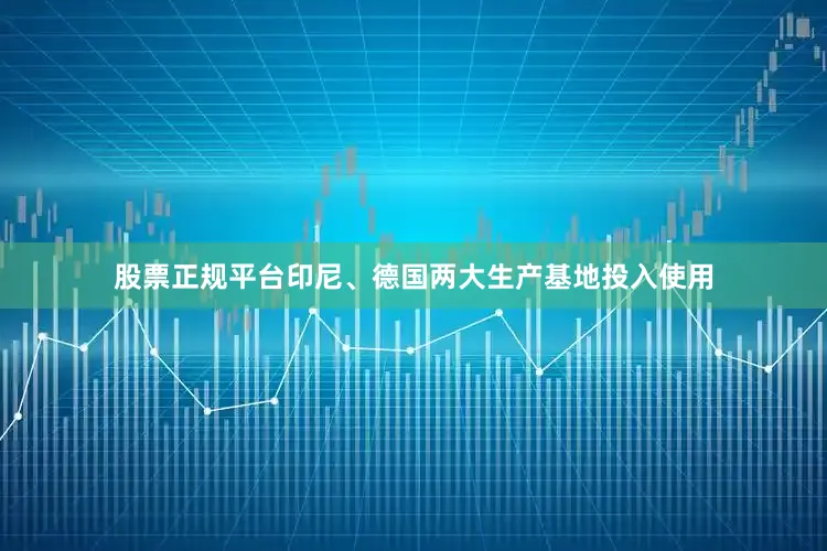 股票正规平台印尼、德国两大生产基地投入使用